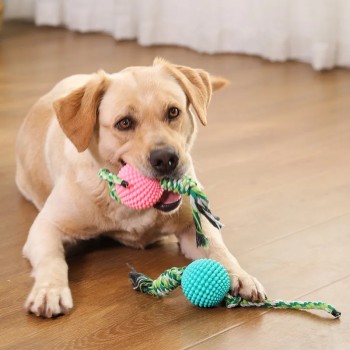 Pet Toys TPR Sound Corn Ball Knot Dog Molar Teeth Cleaning Puppy Toy Ball 90g Small Dog